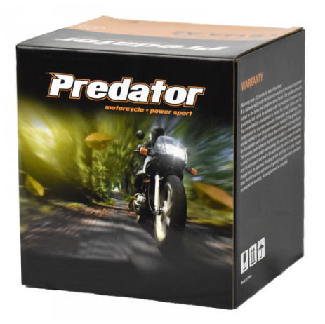 Predator 12V Motorcycle Battery YTX5L-BS 12V 70 CCA 4AH